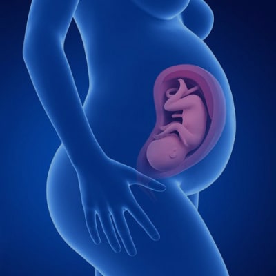 Singular Medicina de Precisão - Pré-natal